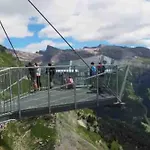 Domino - Superbe De Standing *