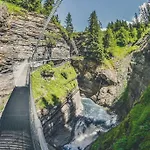 Domino - Superbe De Standing