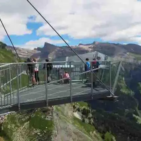 Domino - Superbe De Standing *