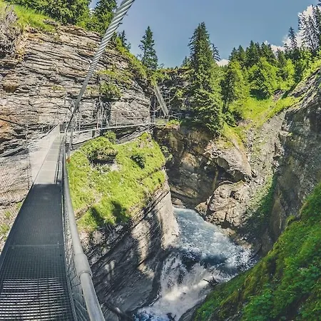 Domino - Superbe De Standing