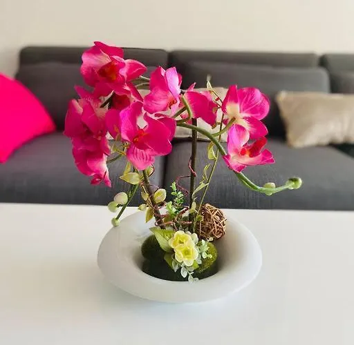 Domino - Superbe De Standing Appartement