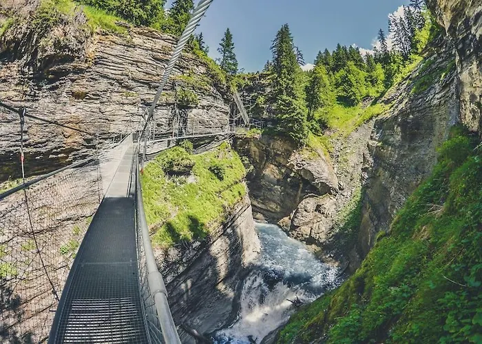 Domino - Superbe De Standing